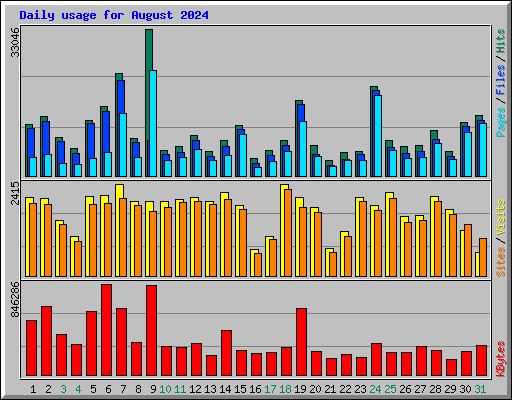 Daily usage for August 2024