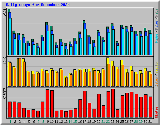 Daily usage for December 2024
