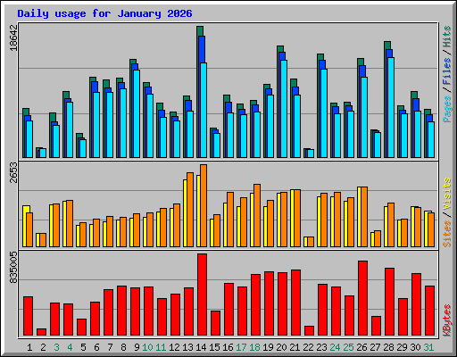 Daily usage for January 2026
