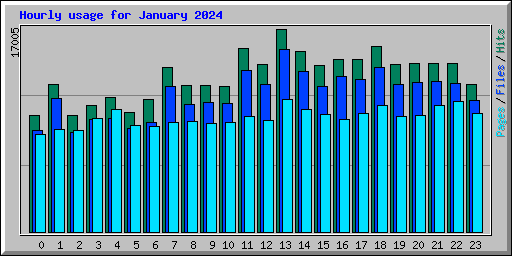 Hourly usage for January 2024