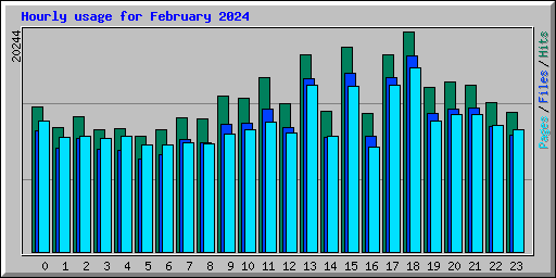 Hourly usage for February 2024