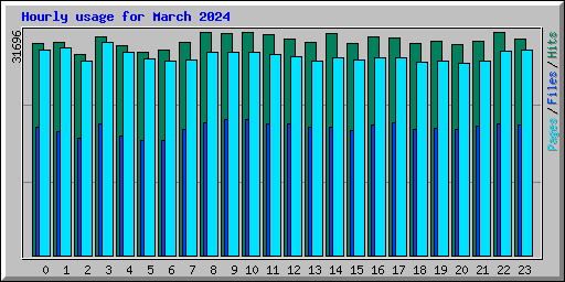 Hourly usage for March 2024