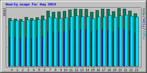 Hourly usage for May 2024