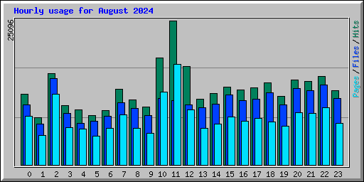 Hourly usage for August 2024