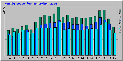 Hourly usage for September 2024