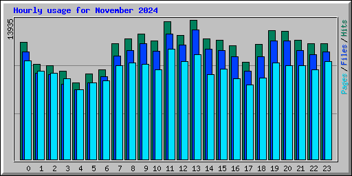 Hourly usage for November 2024