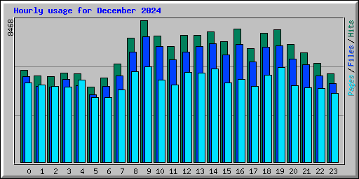 Hourly usage for December 2024