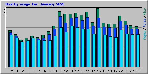 Hourly usage for January 2025