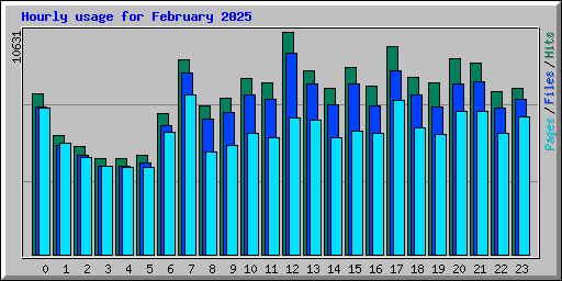 Hourly usage for February 2025