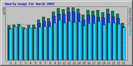 Hourly usage for March 2025