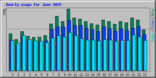 Hourly usage for June 2025