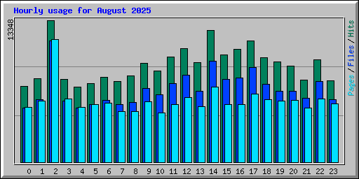 Hourly usage for August 2025