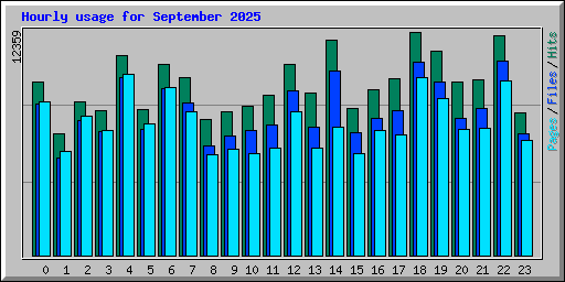 Hourly usage for September 2025