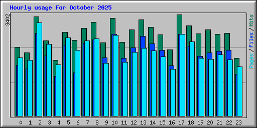 Hourly usage for October 2025
