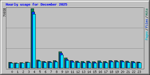 Hourly usage for December 2025