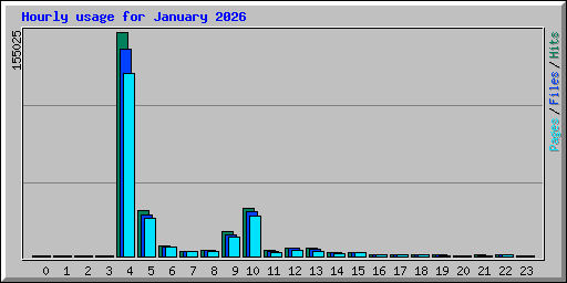 Hourly usage for January 2026
