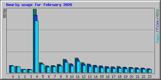 Hourly usage for February 2026