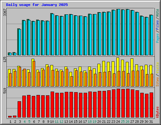 Daily usage for January 2025