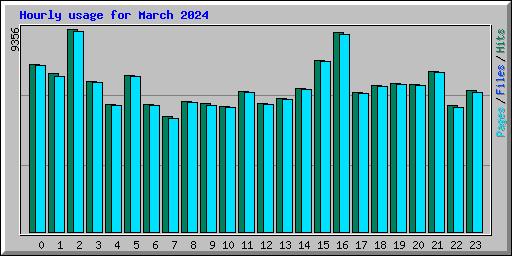 Hourly usage for March 2024