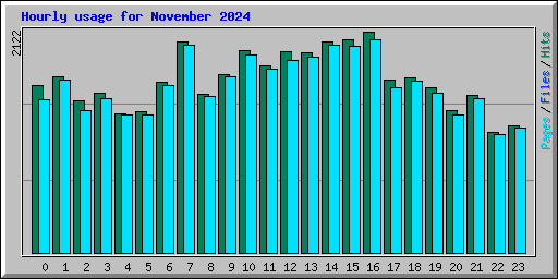 Hourly usage for November 2024