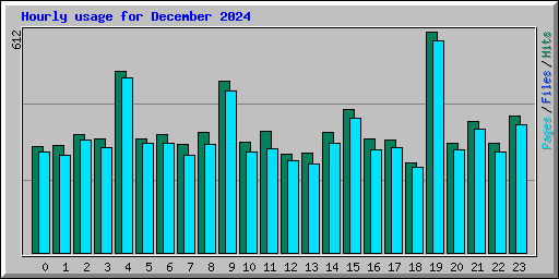 Hourly usage for December 2024