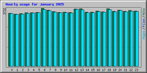 Hourly usage for January 2025