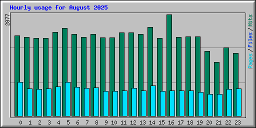 Hourly usage for August 2025