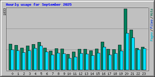 Hourly usage for September 2025