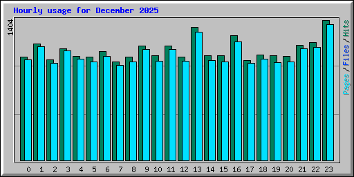 Hourly usage for December 2025