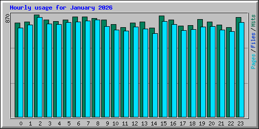 Hourly usage for January 2026
