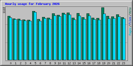 Hourly usage for February 2026