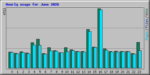 Hourly usage for June 2026